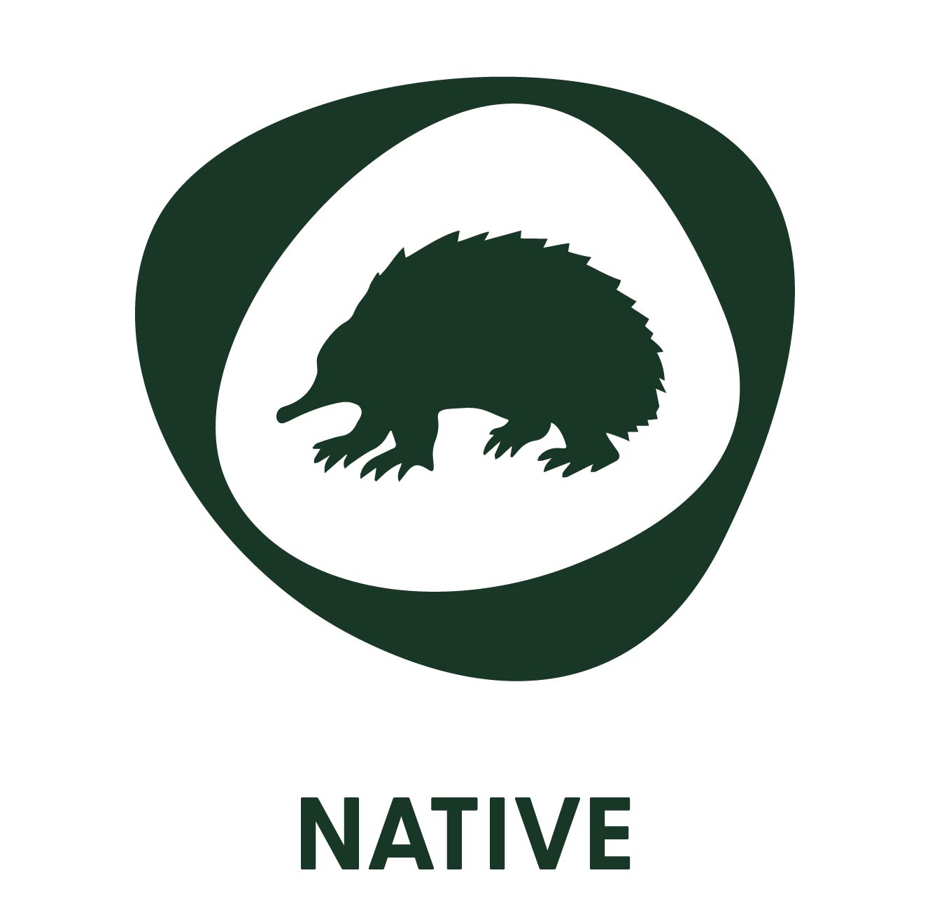 Native Logo